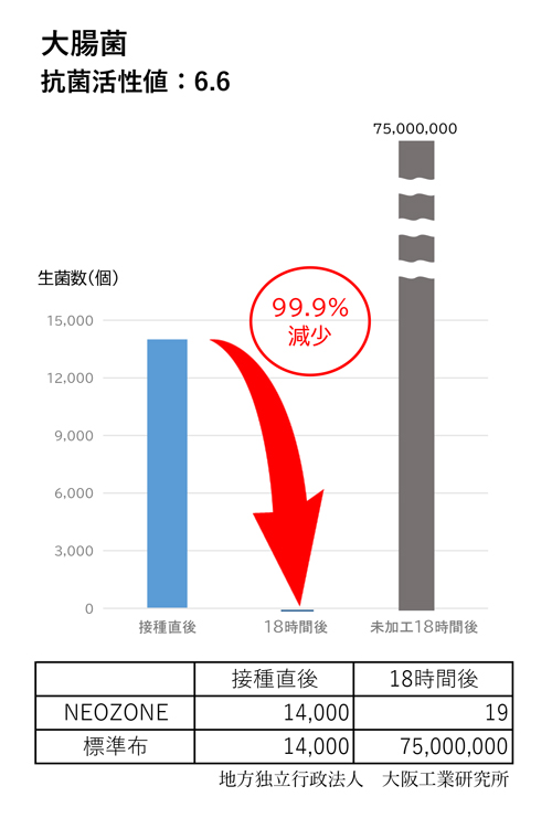 抗菌性試験：大腸菌
