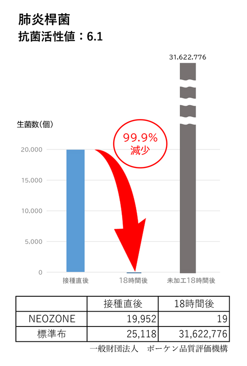 抗菌性試験：肺炎桿菌