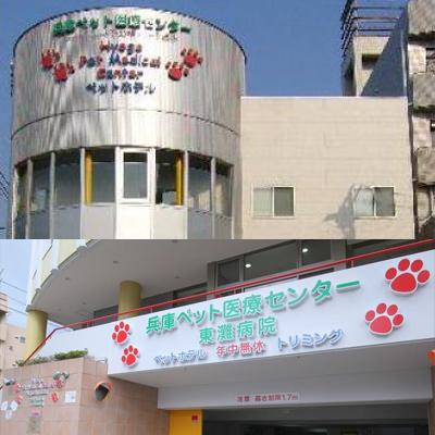 NEOZONE 導入事例
